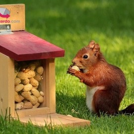 el que guarda siempre tiene